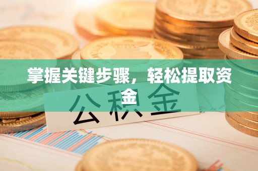 平泉掌握关键步骤，轻松提取资金