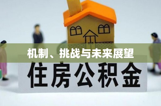 平泉机制、挑战与未来展望