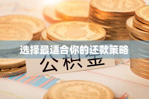 平泉选择最适合你的还款策略
